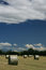 Free Hayfield And Rolled Hay Bales Stock Photos - 8852593