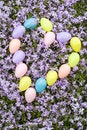 Free Easter Eggs In Heart Shape With Flower Background Royalty Free Stock Photography - 8861227