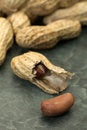 Free Peanuts Stock Photos - 8867793