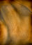 Free Wooden Background Stock Photos - 8862213