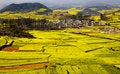 Free Rape Fields & Village Royalty Free Stock Photography - 8879237