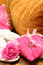 Free Wedding Shoes And Cushion With Rings Stock Photography - 8871432