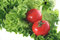 Free Fresh Salad And Two Tomatoes. Stock Photography - 8877542