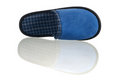 Free Blue Slipper Stock Photo - 8880230