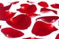 Free Red Rose Petals Royalty Free Stock Photo - 8882655