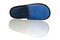 Free Blue Slipper Stock Photo - 8880230