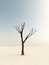 Free Easter Egg Tree Royalty Free Stock Photos - 8886078