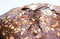 Free Chocolate Cake Close Up Stock Image - 8893621