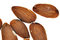 Free Almond. Royalty Free Stock Photo - 8895045