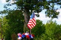 Free American Patriotism - Flag And Tree 2 Royalty Free Stock Photography - 894187