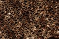 Free Scarf Detail Stock Photo - 898100