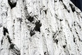 Free Textured Wall Stock Photography - 899822