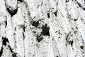 Free Textured Wall 2 Stock Photos - 899823