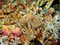 Free Soft Coral Stock Image - 898861