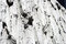 Free Textured Wall Stock Photography - 899822