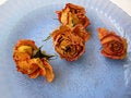 Free Dry Roses 91 On Blue Plate Stock Photo - 8908780