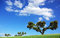Free Landscape Of Alentejo Region. Stock Photos - 8904163