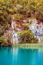 Free Lake And Forest Royalty Free Stock Image - 8911326