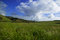 Free Meadow Royalty Free Stock Images - 8913029