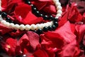 Free Thread Of A Beads Royalty Free Stock Photo - 8920635