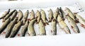 Free Fish Market Royalty Free Stock Photos - 8921808