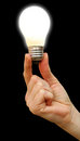 Free Bulb Royalty Free Stock Photos - 8924118