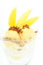 Free Food Royalty Free Stock Photography - 8924857