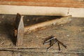 Free Hammer And Nails Royalty Free Stock Photo - 8925035