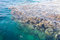 Free Corals In Water Royalty Free Stock Photos - 8924428