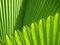 Free Background2 Royalty Free Stock Image - 8925756