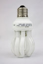 Free Lamps On White Background Royalty Free Stock Photo - 8939385