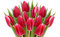 Free Large Bunch Of Tulips. Royalty Free Stock Image - 8932276
