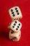 Free Dice Cup And Dice Stock Photo - 8941520
