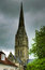 Free Salisbury Cathedral Spire Royalty Free Stock Photo - 8945885