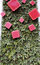 Free Gift Box Royalty Free Stock Photography - 8948027