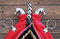 Free Decoration Of Harness Royalty Free Stock Photo - 8948115