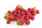Free Summerfruits Isolated. Stock Photography - 8950392