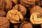 Free Walnut Royalty Free Stock Photography - 8961847