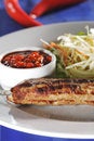 Free Hot Meat Dishes - Grilled Meat Royalty Free Stock Photo - 8980725