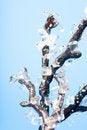 Free Crystals Royalty Free Stock Photos - 8982128