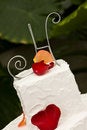 Free Cake Royalty Free Stock Photos - 8984288