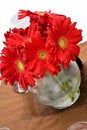 Free Flower Arrangement Royalty Free Stock Image - 8984346