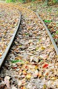 Free Track Royalty Free Stock Photo - 8985755