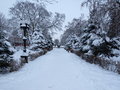 Free Winter Park Royalty Free Stock Image - 8985816