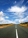 Free Country Road Royalty Free Stock Photo - 8986435