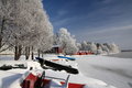 Free Cold Day Royalty Free Stock Images - 8986839