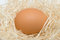 Free Egg Stock Photography - 8982042