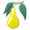 Free Illustration Of A Pear Stock Photo - 8982250
