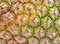 Free Pineapple Background. Stock Image - 8983221