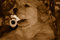 Free Pacified Pup Royalty Free Stock Photography - 8983997
